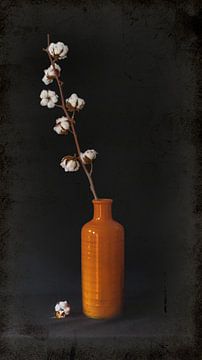 Stilleben: Orangefarbene Vase mit Baumwolle.