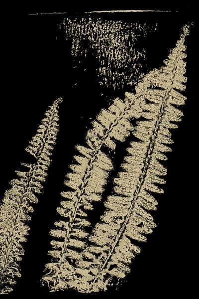 Modern Botanical art. Ferns in neutral color palette no.2 by Dina Dankers