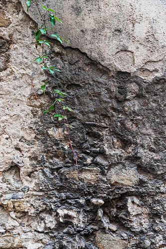 Detail of a weathered wall