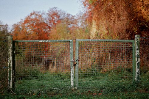 The closed gate to nature - autumn colours on the Doberg