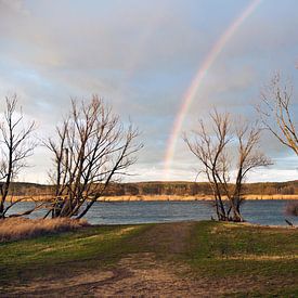 Winterregenboog over de Oder in de Oderbruch van Silva Wischeropp