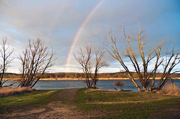Winterregenboog over de Oder in de Oderbruch