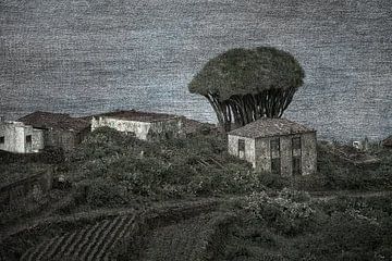 El Tablado by Tejo Coen
