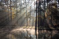 Herfst aan het water van Bart Ceuppens thumbnail