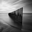 Mono Square Series VII by Insolitus Fotografie thumbnail