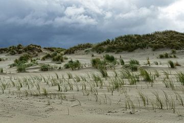 Nuages sombres à la plage Est de Baltrum sur Anja B. Schäfer