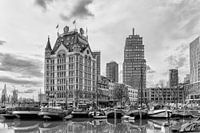 Old Harbour with the White House in Rotterdam