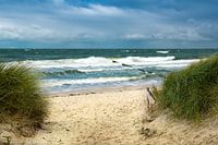 Beach path