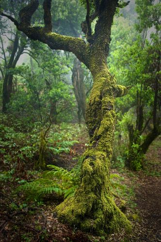 On the road in untouched nature.