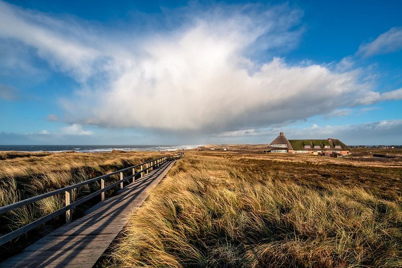 Golden light on the island of Sylt by Achim Thomae Photography