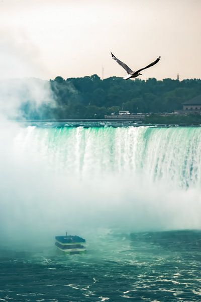 Sightseen des chutes du Niagara par Marc Lehmann