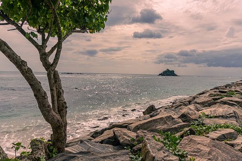 Au bord de la mer