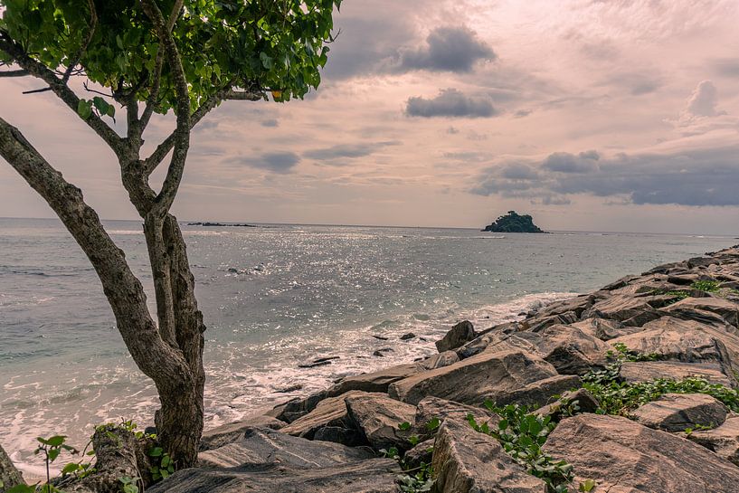 By the sea by Nicole Nagtegaal