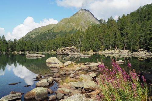 Het Engadin-gebergte biedt een harmonieuze mix van alpine vlakten, kristalheldere meren en zachte lariksbossen. Het landschap is overspoeld met licht, vredig en majestueus tegelijk - een natuurparadijs in het hart van Zwitserland.