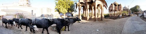 Rajasthan/Indien
