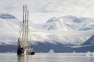 Arctic explorers van Rudy De Maeyer thumbnail