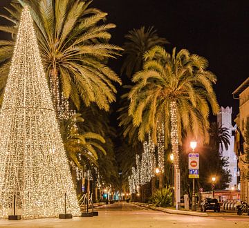 Palma de Mallorca, verlichte straat met palmen en kerstboom van Alex Winter