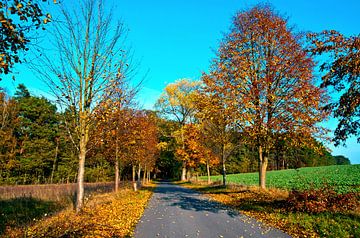 Herfstsfeer in de oktoberzon van Silva Wischeropp
