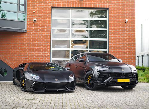 Blacked Out Lamborghini Aventador & Urus