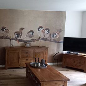 Customer photo: Birds On Branch Artwork With Eight Sparrows by Diana van Tankeren, as wallpaper