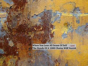 Rumi: When You Lose All Sense Of Self....