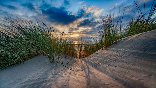 Nazomers Duingezicht tijdens zonsondergang deel1
