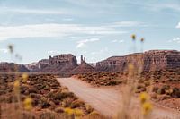 Off-road in bergachtig landschap West-Amerika.