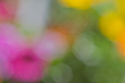 Bokeh, monsterlijk in beeld van Jolanda de Jong-Jansen