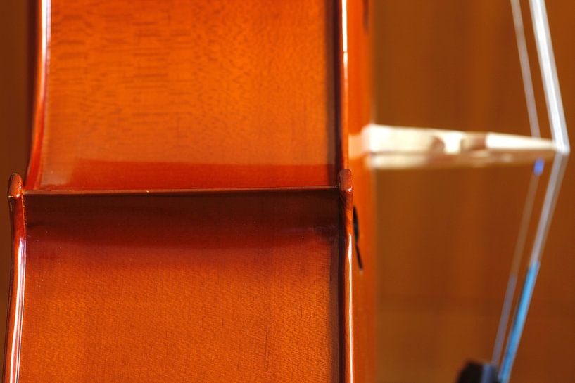 Cello von Thomas Jäger