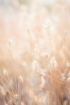 Pearlescent grass by Steffen Gierok