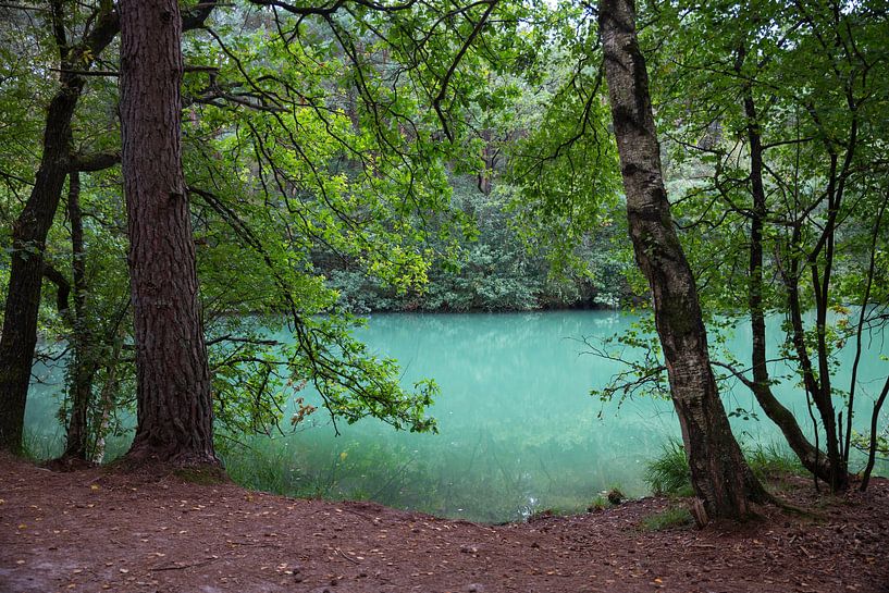 der blaue see in drenthe bei dwingelo, sieht aus wie kanada von ChrisWillemsen