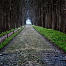 Kasteel Laan van Hans Soowijl