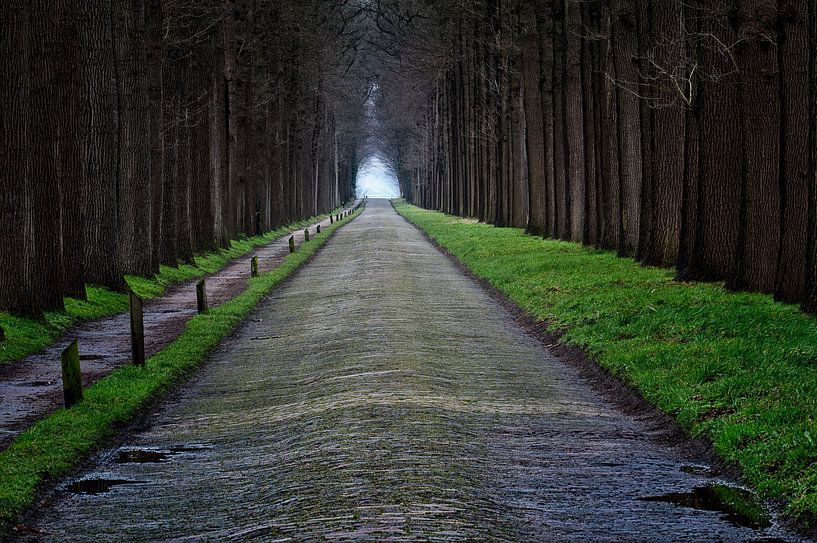 Castle Road by Hans Soowijl