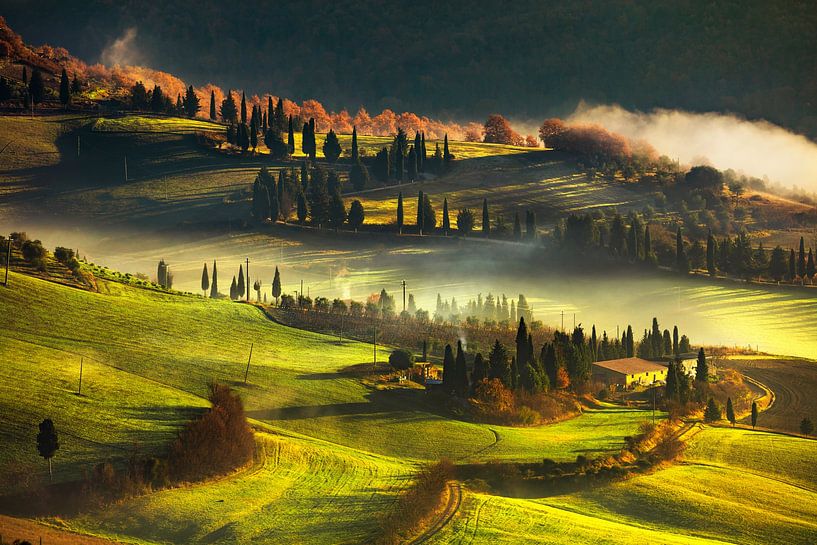 Matin brumeux en Toscane, terres agricoles et cyprès. Italie par Stefano Orazzini