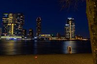 Rotterdam