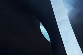 Bio-Linien von Lola Beekhuijzen