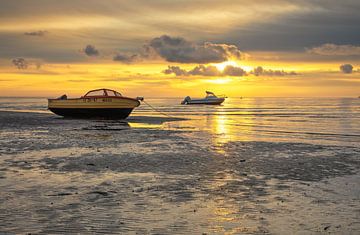 Wad amazing! by Justin Sinner Pictures ( Fotograaf op Texel)