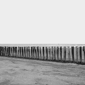 Strandpalen in Zeeland van Raaf