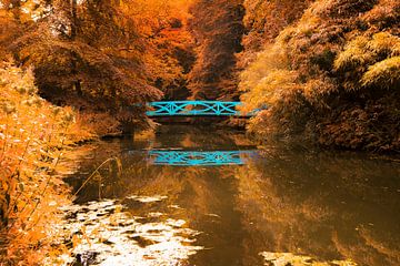 Autumn lake in Elswout van Marc Hollenberg