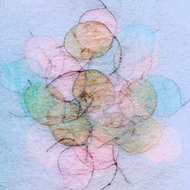 Silberblatt  Bonbon und Natur Farben
