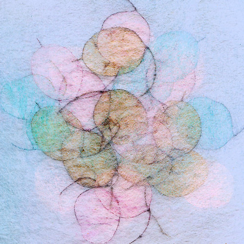 Silberblatt  Bonbon und Natur Farben