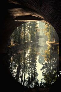 De Paulusbrug in Utrecht over de Nieuwegracht in de Herfst (1) van André Blom Fotografie Utrecht