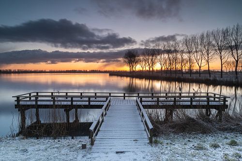 Steiger bedekt met sneeuw en bomenrij aan het Meer van Dirkshorn tijdens een koude winterochtend.