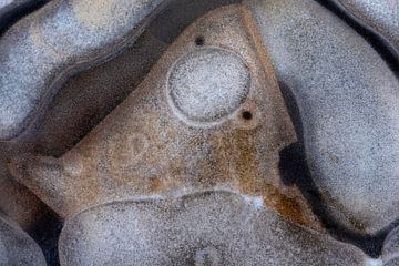 Sculpture de glace Picasso 2 sur Franke de Jong