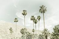 Palmen in der Wüste | Vintage von Melanie Viola Miniaturansicht