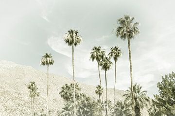 Palmbomen in de woestijn | Vintage van Melanie Viola