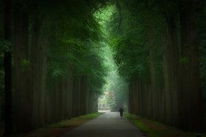 Reise durch den Nebel
