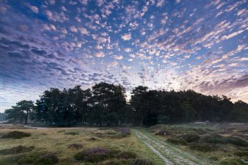 Sonnenaufgang über dem Heidefeld Heidestein Utrechtse Heuvelrug. von Peter Haastrecht, van