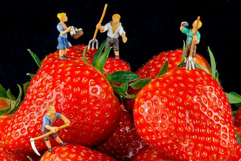 Aardbei by Arie Kraaijeveld
