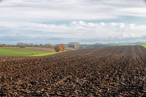 Herbst auf hügeligen Feldern